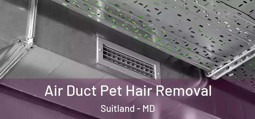  Air Duct Pet Hair Removal Suitland - MD