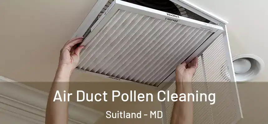  Air Duct Pollen Cleaning Suitland - MD