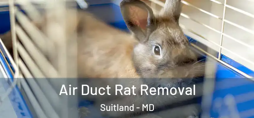 Air Duct Rat Removal Suitland - MD