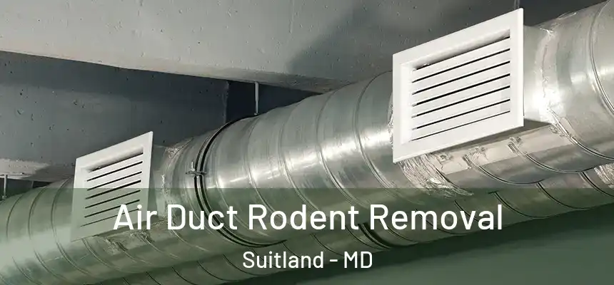  Air Duct Rodent Removal Suitland - MD