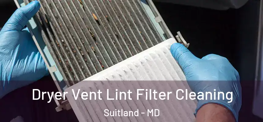  Dryer Vent Lint Filter Cleaning Suitland - MD
