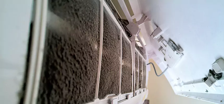 Preventive Air Duct Bacteria Removal in Suitland