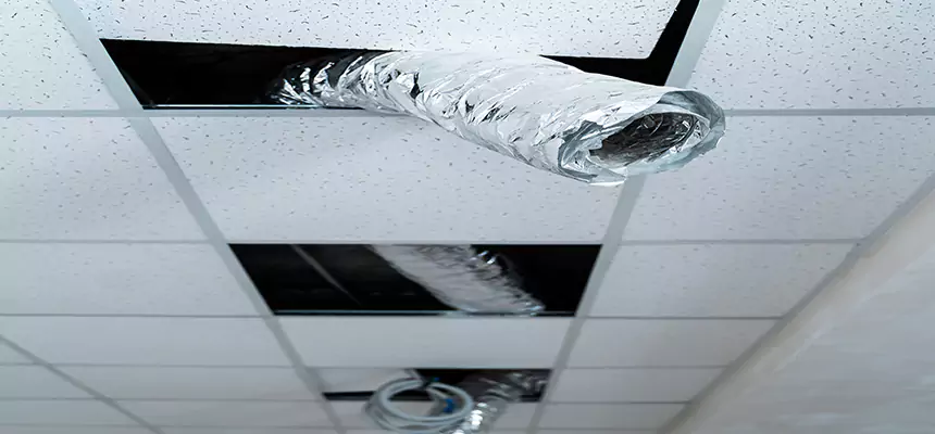 Our Air Duct Pet Hair Removal Services in Suitland, MD