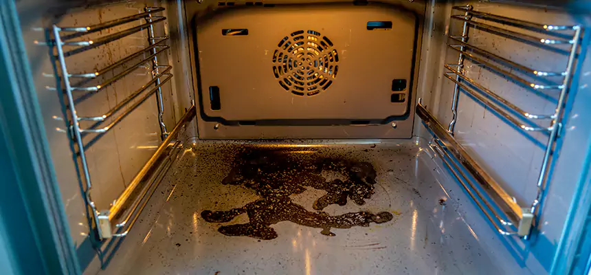 Our Dryer Vent Mold Cleaning Services in Suitland, MD