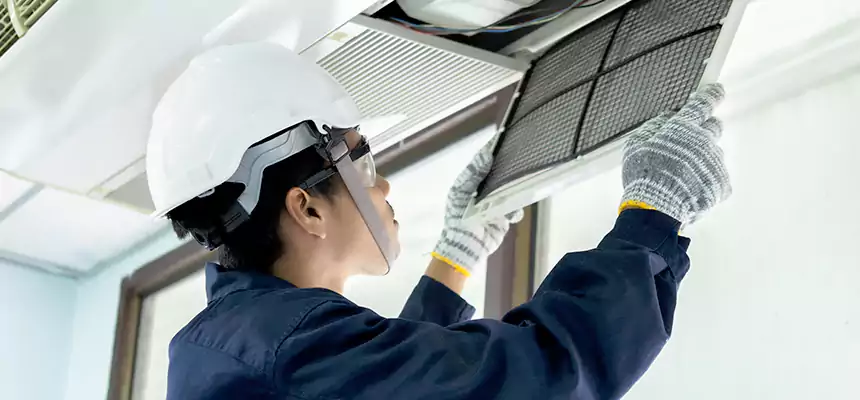 Our Mold & Mildew Removal from Air Ducts Services in Suitland, MD