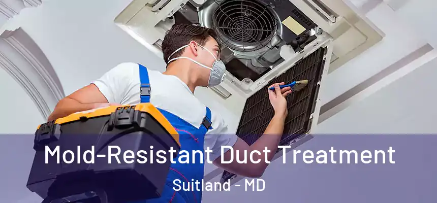  Mold-Resistant Duct Treatment Suitland - MD