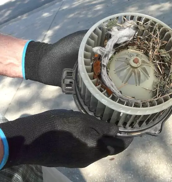 About Air Duct Mice Removal in Suitland, MD