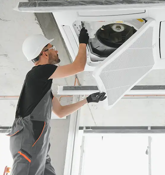 About Air Duct Rodent Removal in Suitland, MD