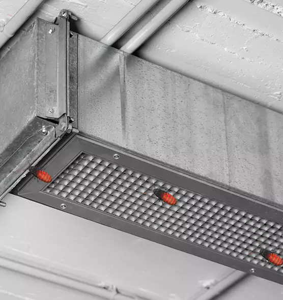 Affordable Insect Removal from Air Ducts in Suitland, MD