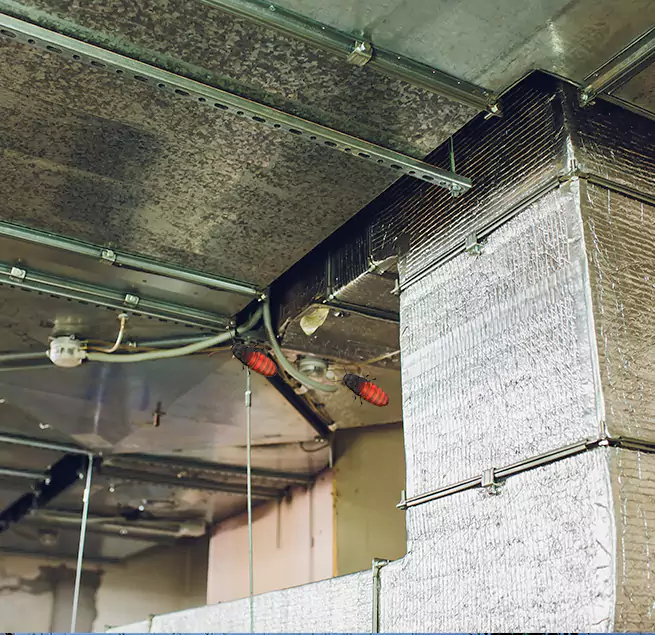 Why Homeowners & Businesses Trust Us in Suitland, MD?