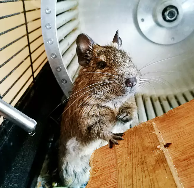 Why Homeowners & Businesses Trust Us Suitland, MD