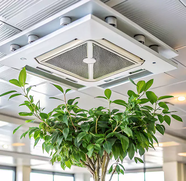 Why Homeowners & Businesses Trust Us in Suitland, MD?