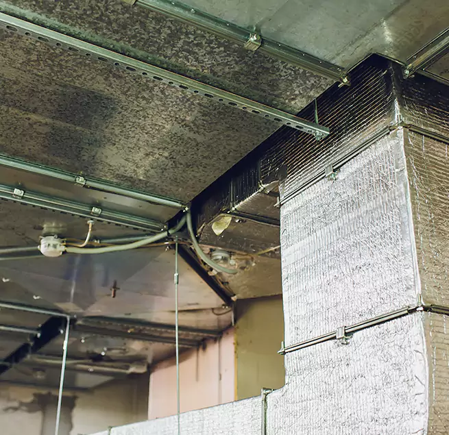 Why Homeowners & Businesses Trust Us in Suitland, MD?