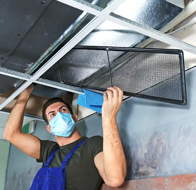 Why Homeowners & Businesses Trust Us in Suitland, MD?